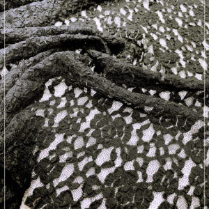 elastischer Spitzenstoff, aus Italien