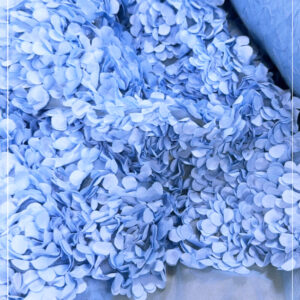 gestretchter Tüll mit aufgesetzten Blüten aus Italien -- COMING SOON --