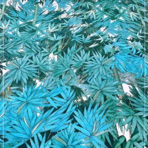 bedrucktes grobes Leinen aus Italien